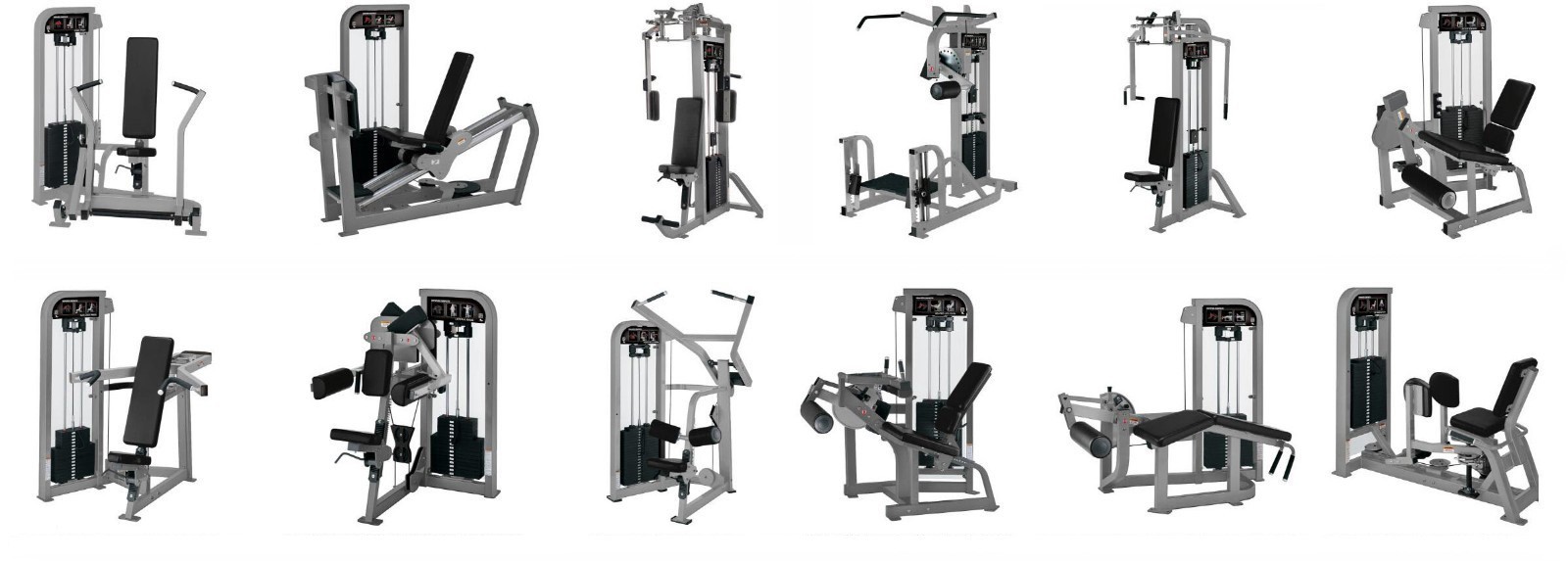 HAMMER STRENGTH- SCT